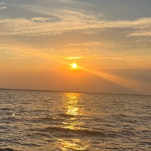 Meet your Posher, Lola